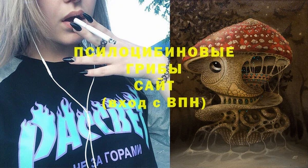 синтетический гашиш Ельня