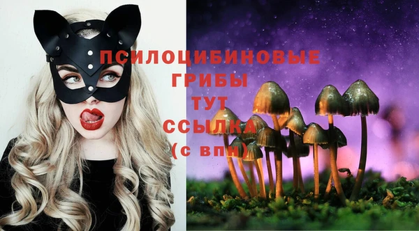 MESCALINE Елабуга
