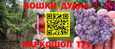 мдпв Камышлов