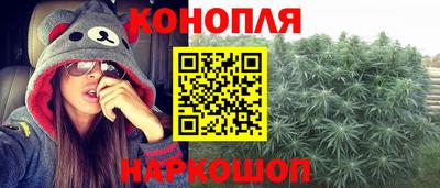 мдпв Камышлов