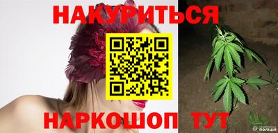 мдпв Камышлов