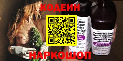 мдпв Камышлов