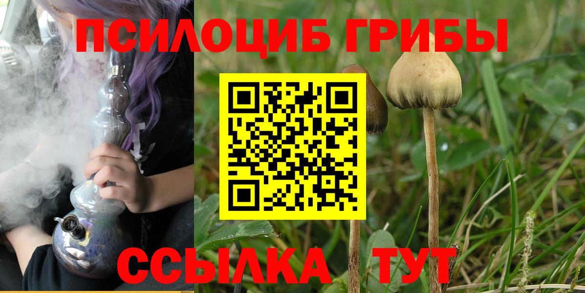 Псилоцибиновые грибы мухоморы  Вход с VPN  Жуковский 