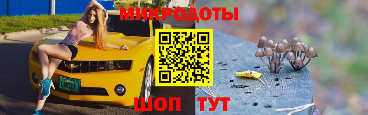 Псилоцибиновые грибы мухоморы Жуковский